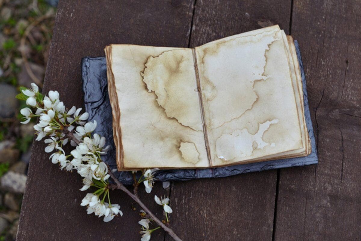 Florilégios: Criando seu Livro Lunar