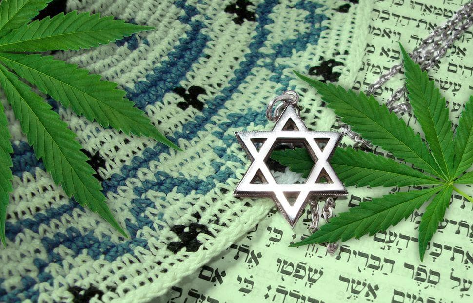 Kaneh-Bosem: A História Oculta da Cannabis no Antigo Testamento