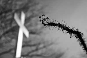 Excertos de ‘A Sociedade dos Vivos’