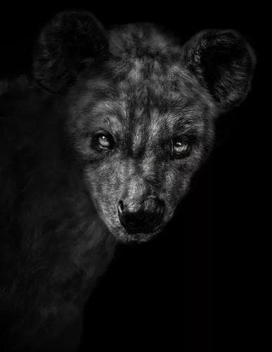 Totens Tifonianos dos Tantras