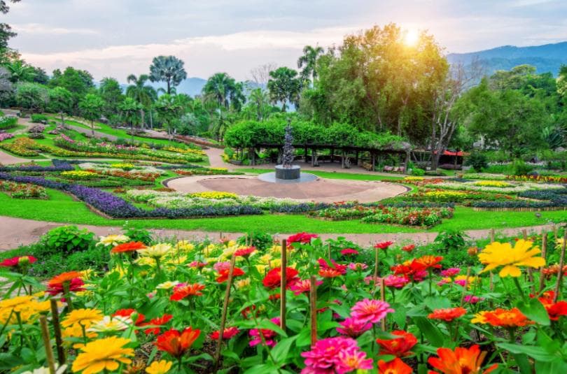 O jardim da recompensa