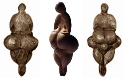 Mulher, mais do que um útero