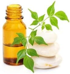 A arte de se fazer óleos essenciais