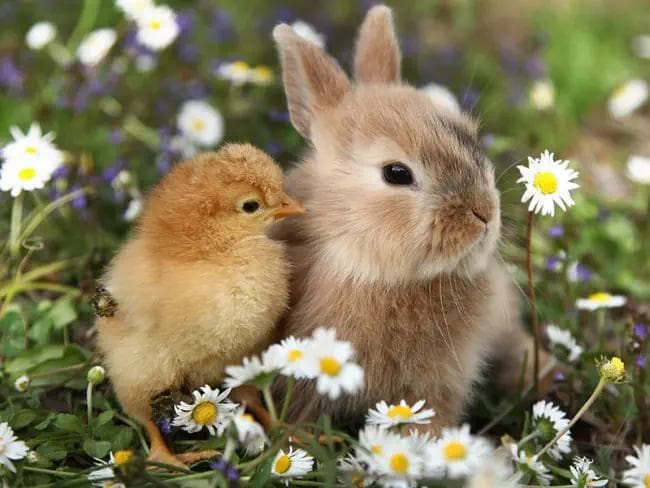 As Raízes Pagãs da Páscoa