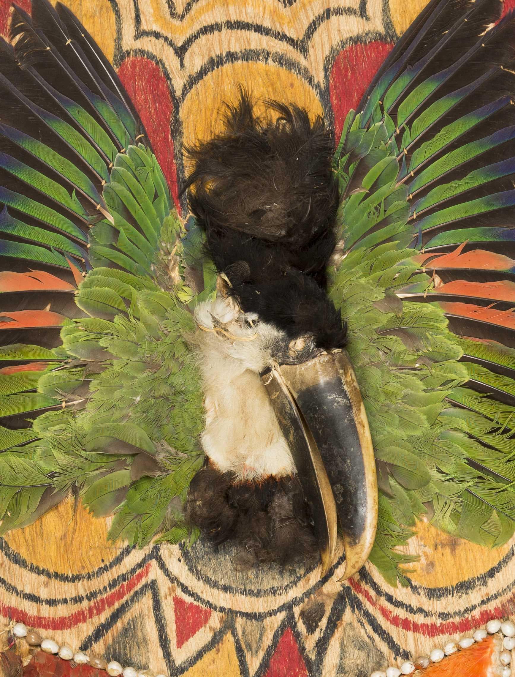 Ataques mágicos e curas no Xamanismo Jivaro