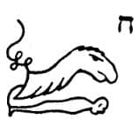 Characith (Túneis de Set)