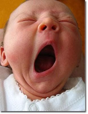 O Direito à Preguiça