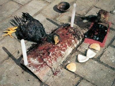 Os Rituais de Sacrifício na cultura Yorùbá