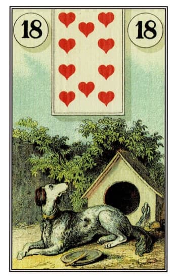 Cão