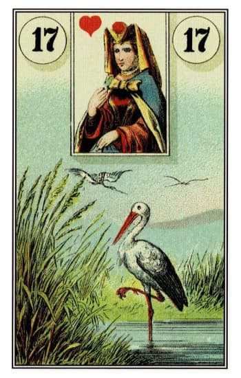 Cegonha